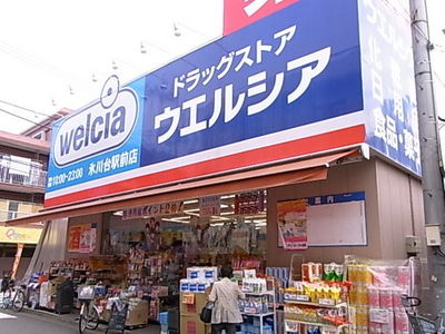 Dorakkusutoa. Uerushia Hikawadai Ekimae 650m to (drugstore)