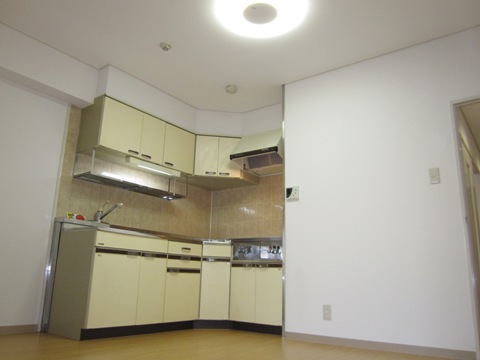 Kitchen. Adopt the LED lighting in the living! Happy to regulation