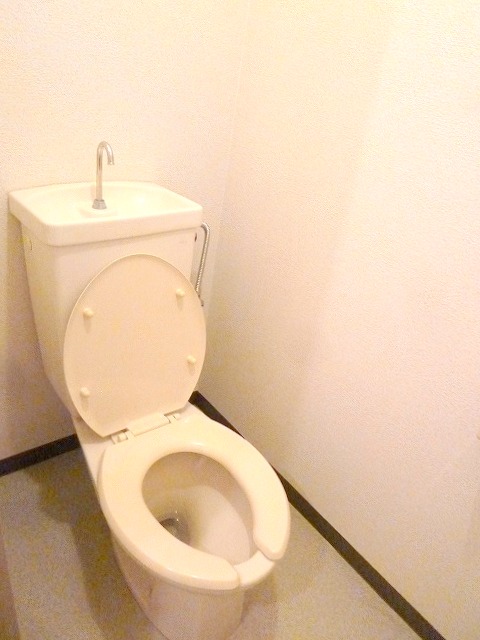 Toilet. Toilet