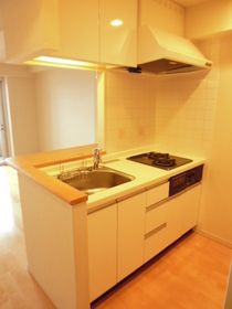 Kitchen. With a two-burner stove grill ☆ System kitchen