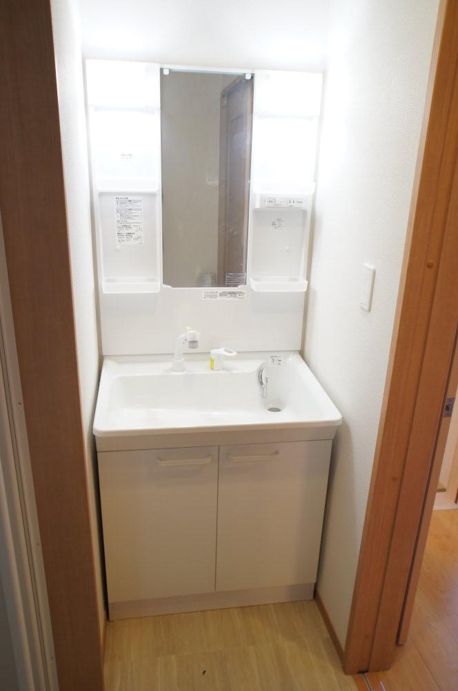 Wash basin, toilet. Vanity with shower. 