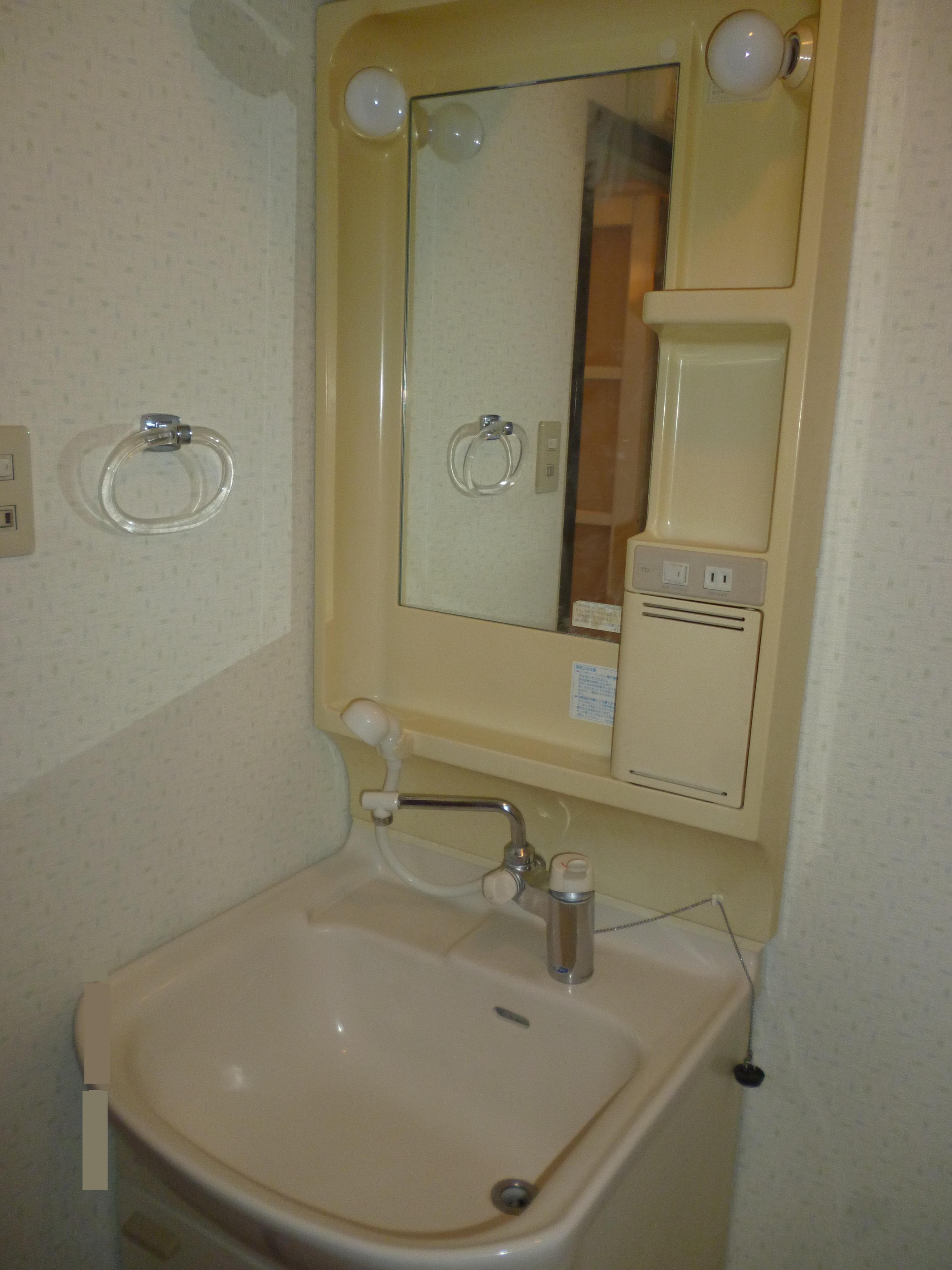 Washroom. Washbasin with shower