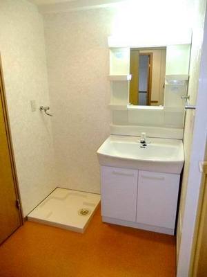 Washroom. Vanity and Laundry Area (waterproof bread)