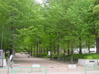 park. 10m to Tokyo Metropolitan Johoku Central Park (park)