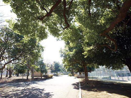 park. Until Oizumi Central Park 340m