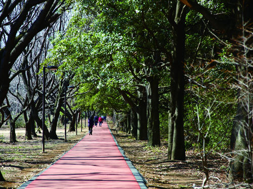 Other. 8-minute walk of Wako forest park. The park there is a playground equipment lawn open space and forest bathing is enjoyed likely woodlots, There is such as two jogging course, Has become place of recreation and relaxation for citizens. 