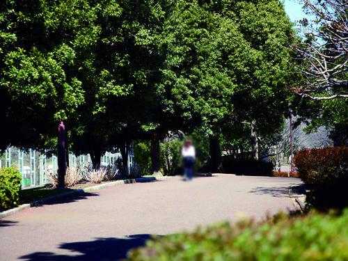 Local guide map. A 5-minute walk and familiar Oizumi Central Park. Many green, Go out in good weather pleasant. If this distance, Because it is free to go, It can be said that in particular happy location to families with small children. 