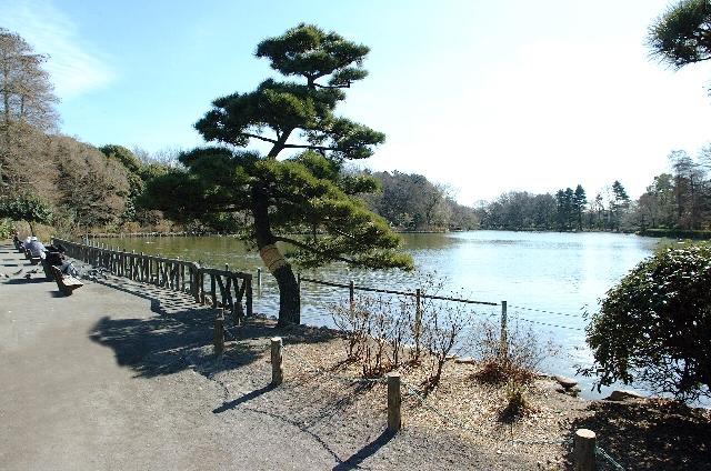 park. 914m until Zenpukuji park (lower reservoir)
