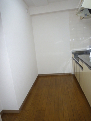 Kitchen. Kitchen space is wide (reference photograph of another in Room)