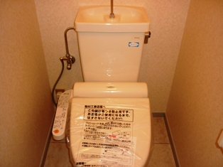 Toilet. Bidet