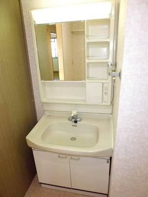 Washroom. Bathroom vanity