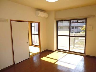 Living and room. Bright living room of the southwest surface (flooring, Air condition)