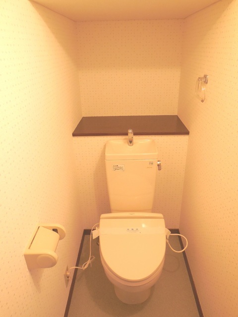 Toilet. If you have tenants decided to washlet installation. 