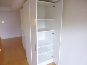 Living and room. Storage space