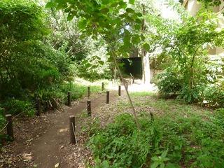 Other Environmental Photo. 1096m to the forest green of Takeshita