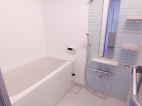 Bath. New renovated bathroom