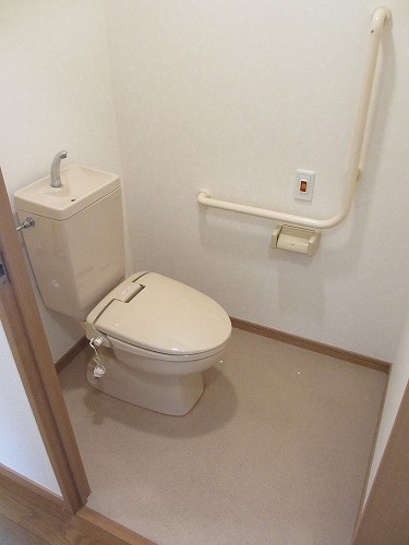 Toilet. Toilet