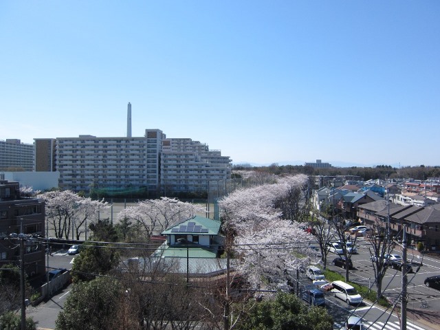 View. Is a view overlooking the park Hikarigaoka