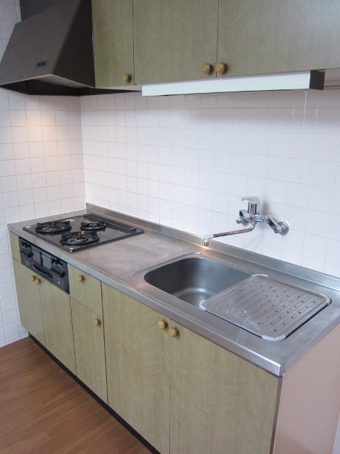 Kitchen. Kitchen with a grill in the 3-burner stove