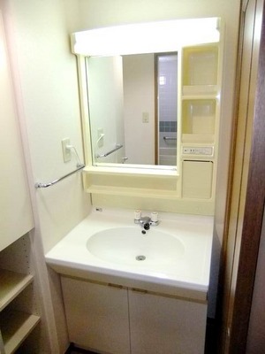 Washroom. Bathroom vanity