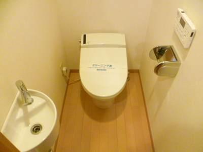 Toilet. Toilet