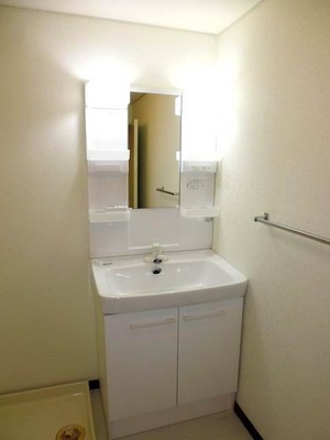 Washroom. Bathroom vanity