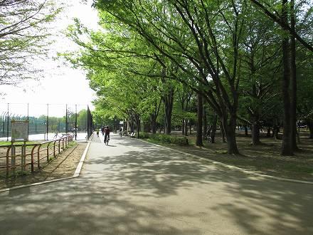 park. (June 2013 shooting)