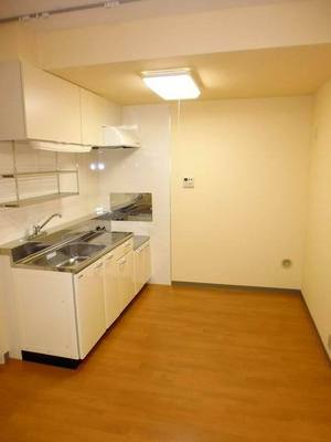 Kitchen. Spacious kitchen space