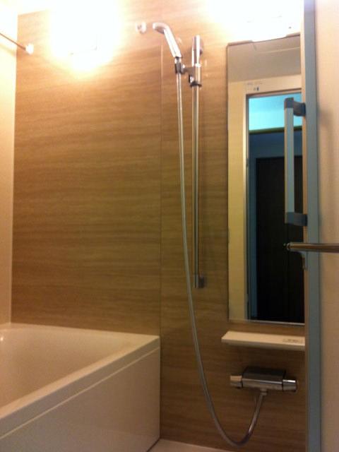 Same specifications photo (bathroom). Seller construction case