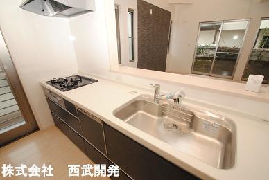 Kitchen. Indoor (10 May 2013) Shooting