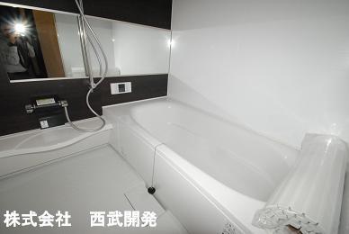 Bathroom. Indoor (10 May 2013) Shooting