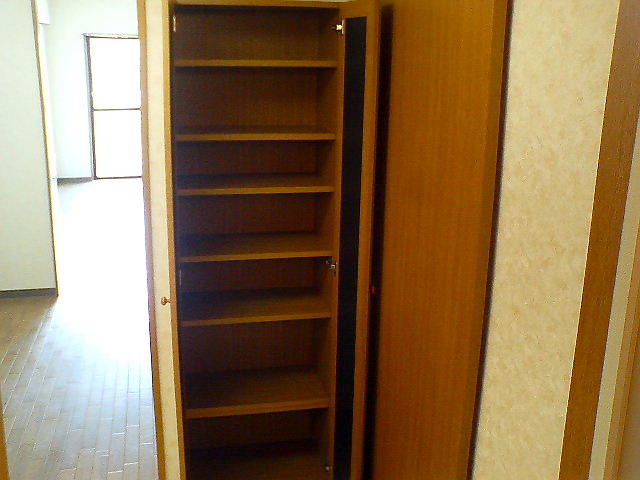 Entrance. Large shoe box storage