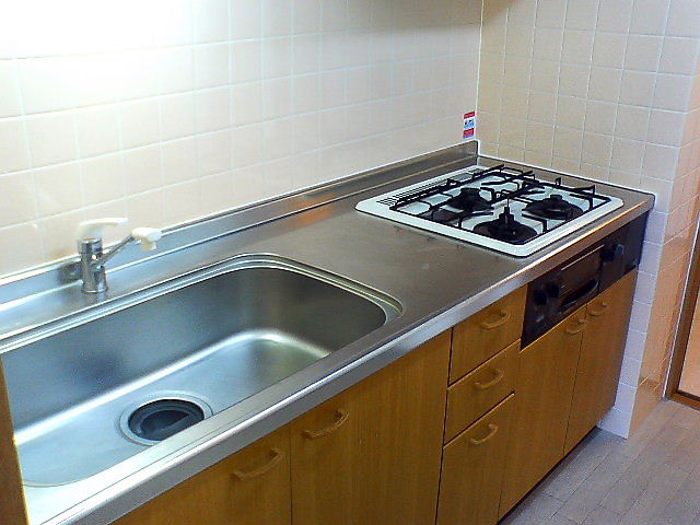 Kitchen. Sink even large kitchen! Housing wealth