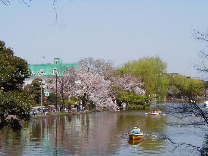 park. 100m to the boat pond Shakujii Park (Park)