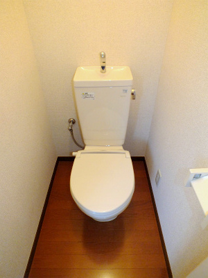 Toilet. Warm toilet toilet seat