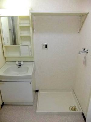 Washroom. Vanity and Laundry Area