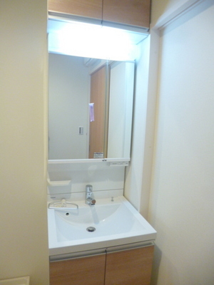 Washroom. Shampoo Dresser is a wash basin with a two-sided mirror