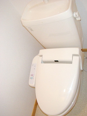 Toilet. Warm water washing toilet seat