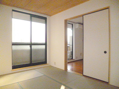 Living and room. Beautiful tatami Japanese-style