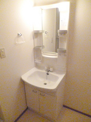 Washroom. Shampoo dresser