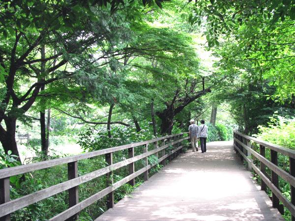 park. Until Shakujii Park 850m