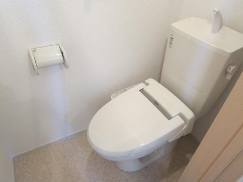 Toilet. Bidet with function