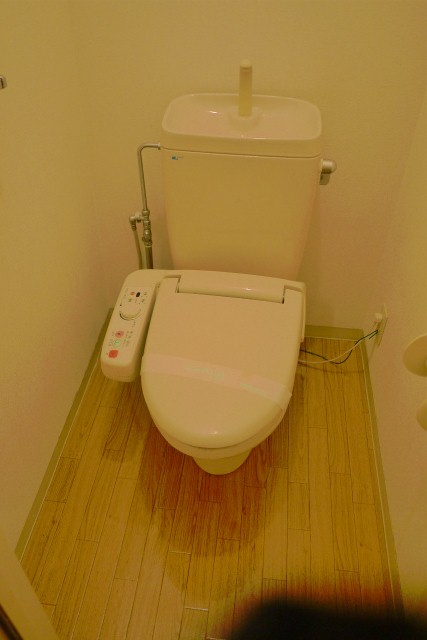 Toilet. Bidet