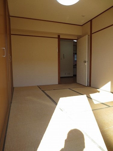 Other room space. Bright Japanese-style room