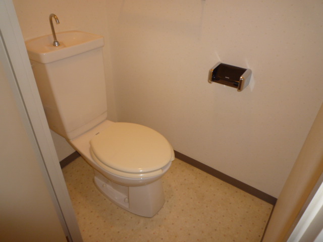 Toilet. Reference image (the other room)