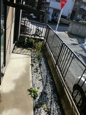 Balcony. Veranda