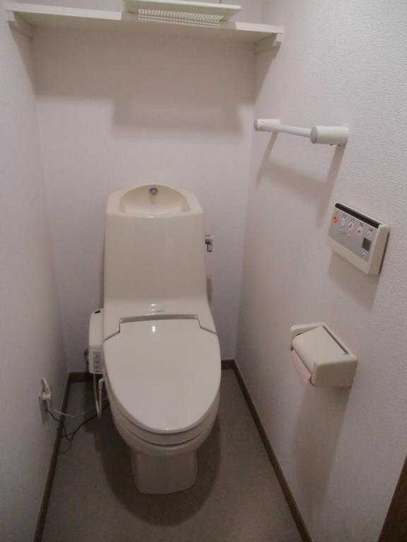 Toilet. Bidet with toilet