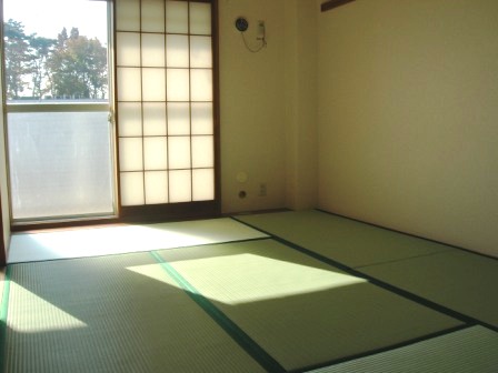 Living and room. South Japanese-style room