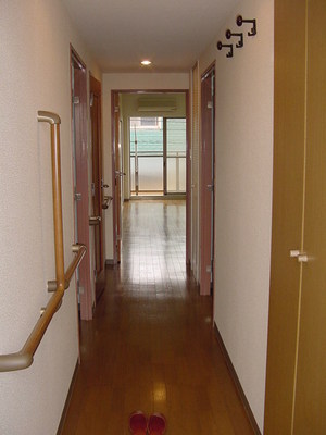 Entrance. Corridor as seen from the front door