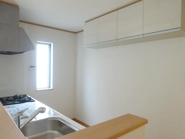 Kitchen. Indoor (11 May 2013) Shooting